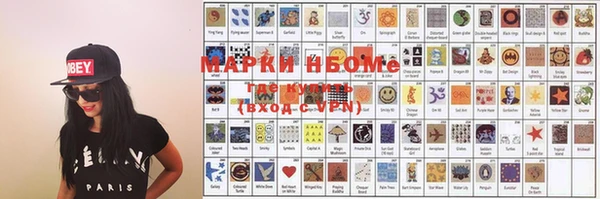 индика Ельня