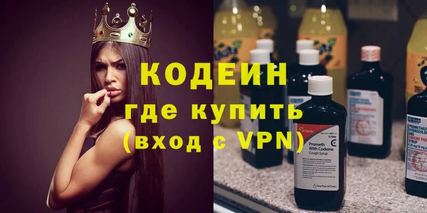 хмурый Елизово