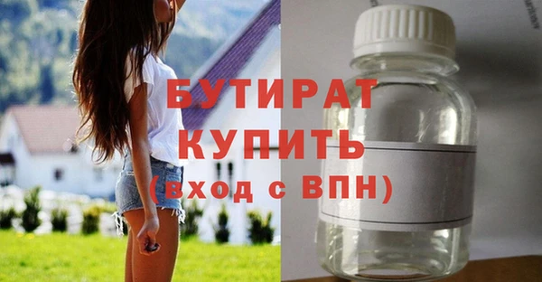 индика Ельня