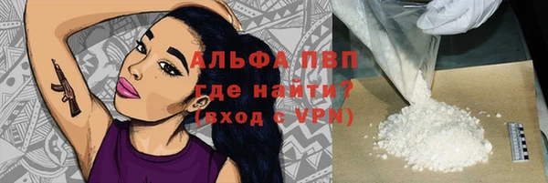 индика Ельня