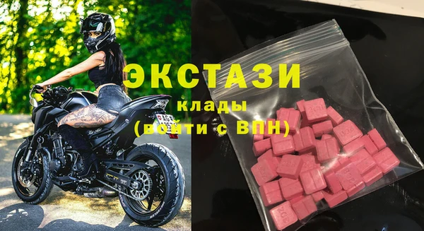 индика Ельня