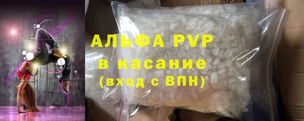 индика Ельня