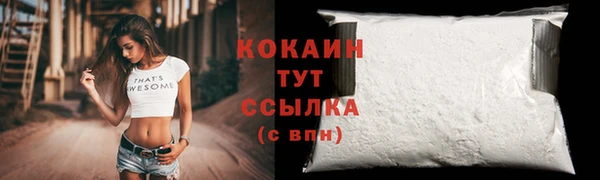 хмурый Елизово