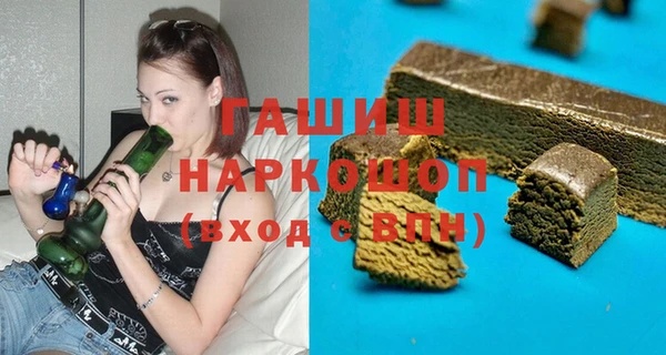 индика Ельня