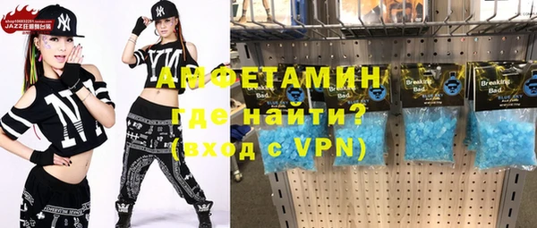 индика Ельня