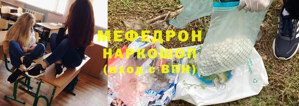 индика Ельня