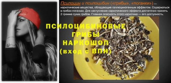 хмурый Елизово