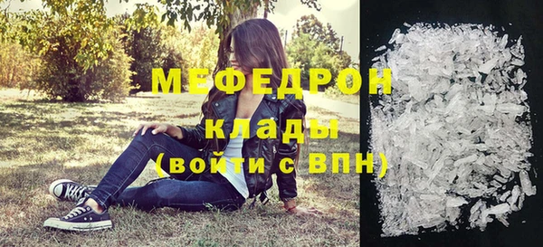 индика Ельня