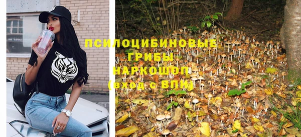 хмурый Елизово
