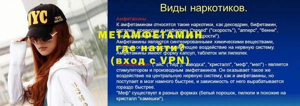 индика Ельня