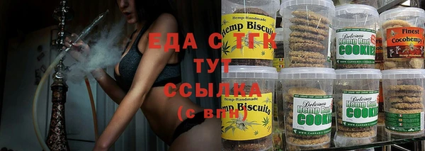 индика Ельня
