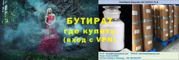 индика Ельня