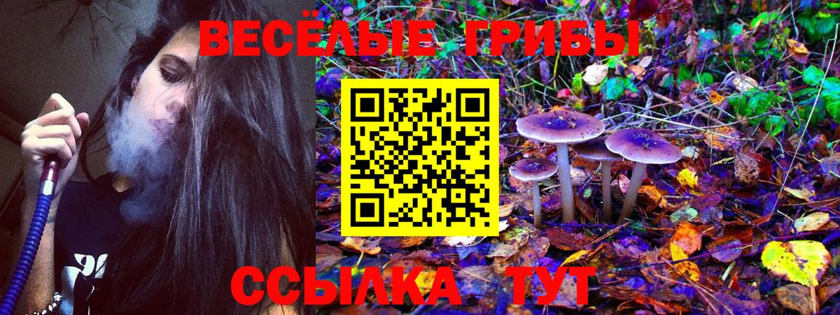 Псилоцибиновые грибы мухоморы Благовещенск