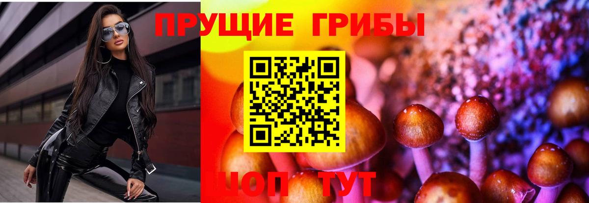 Псилоцибиновые грибы мицелий  Галлюциногенные грибы GOLDEN TEACHER  Благовещенск  Вход с VPN 